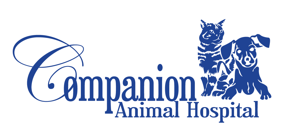 Animal Hospital in Lakeland, FL | Veterinarians in Lakeland, FL